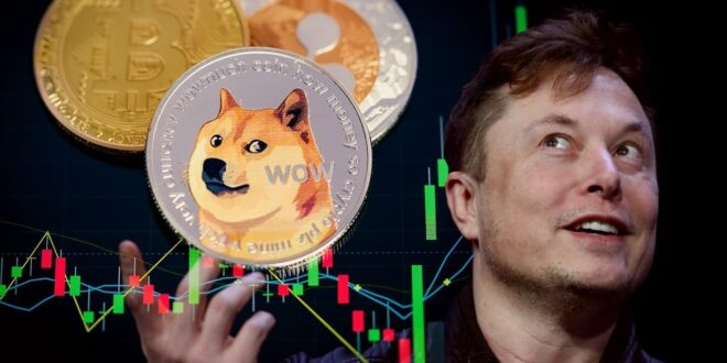 elon musk crypto