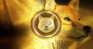 shiba coin