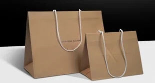 Custom paper Bags