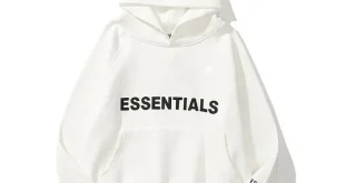 essentials hoodie