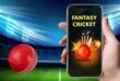 Online Cricket ID