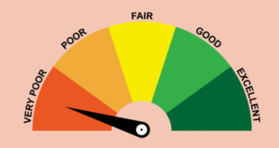 How to Get a Free CIBIL Score Check Online 