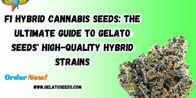 F1 hybrid cannabis seeds