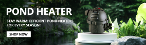 pond heaters