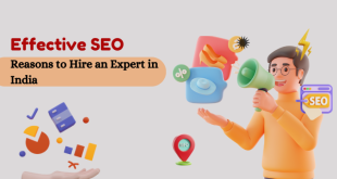 hire seo expert in india