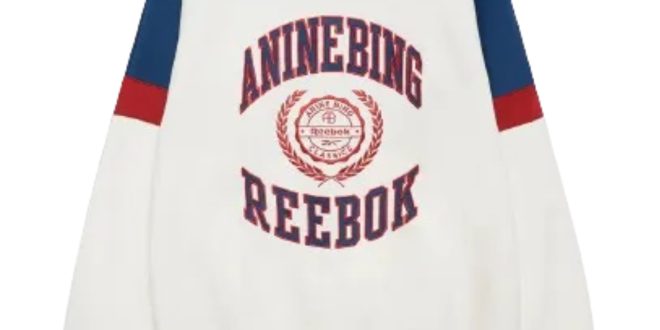 Anine Bing Reebok Sweatshirt