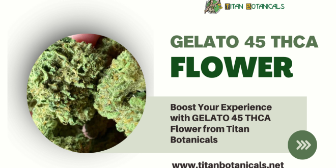 Boost Your Experience with GELATO 45 THCA Flower from Titan Botanicals