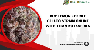 Lemon Cherry Gelato Strain