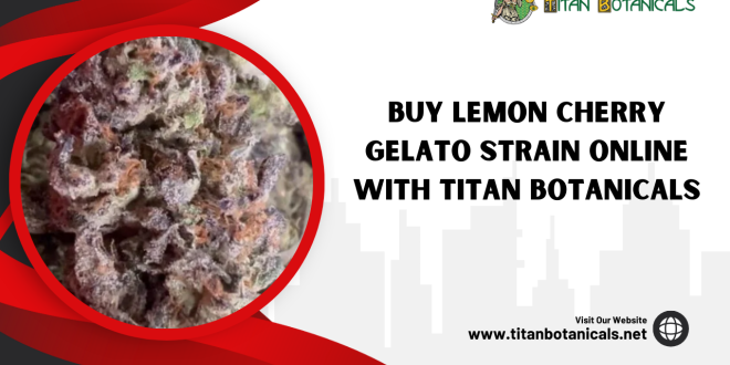 Lemon Cherry Gelato Strain