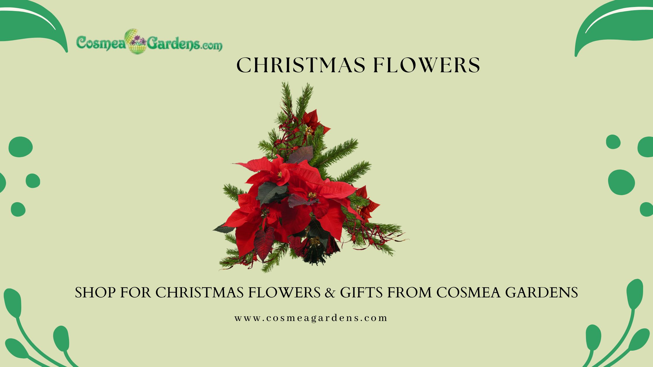 Christmas flowers