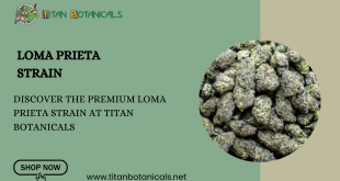 Loma Prieta Strain