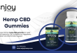 Hemp CBD Gummies