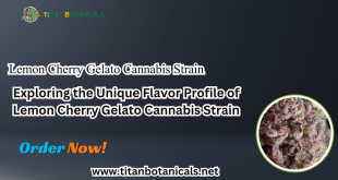 Lemon Cherry Gelato Cannabis Strain