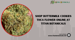 Buttermilk Cookies THCA Flower