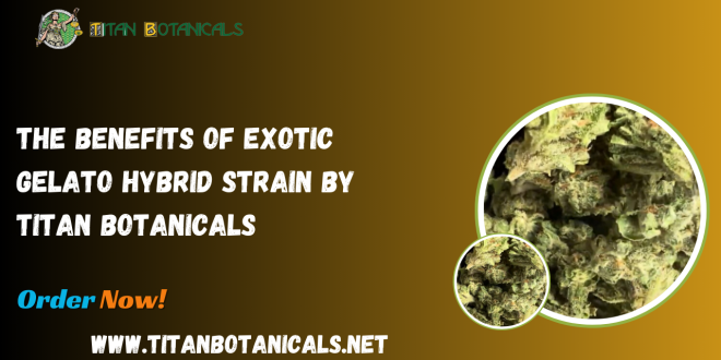 Benefits of Exotic Gelato Hybrid Strain by Titan Botanicals