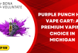 Purple Punch HHC Vape Cart