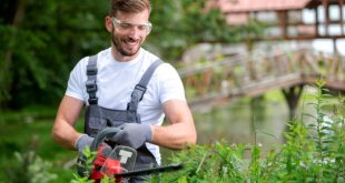 "Professional gardener performing lawn care and pruning plants in a well-maintained garden."