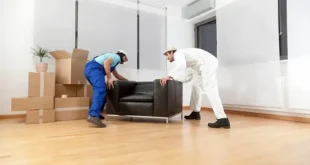 movers and furniture assembly