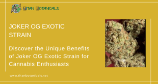 Joker OG Exotic Strain