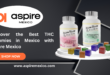 Discover the Best THC Gummies in Mexico with Aspire Mexico